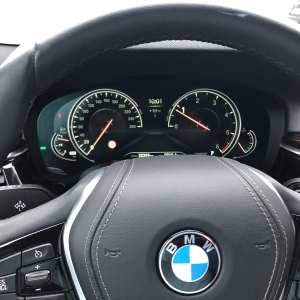 BMW 530dx____